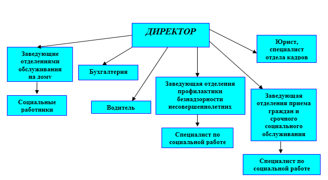 Структура центра занятости населения схема